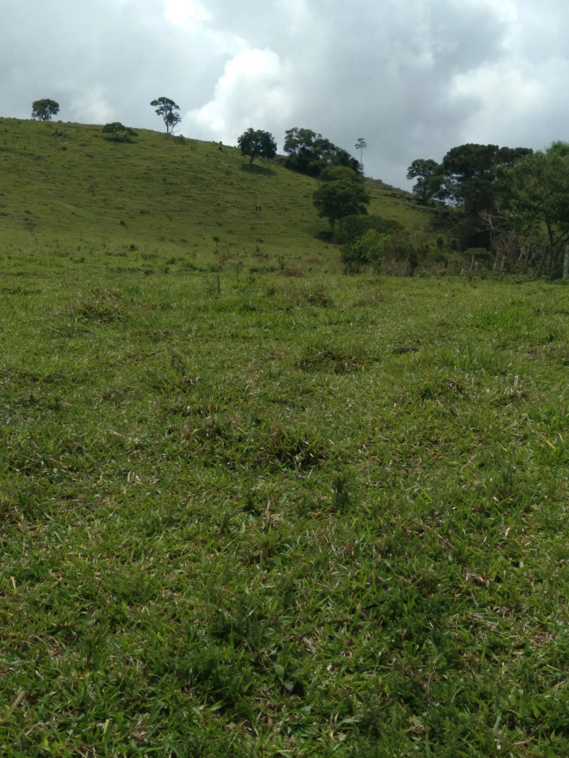 Terreno à venda de 20 ha em Aiuruoca, MG, Brasil