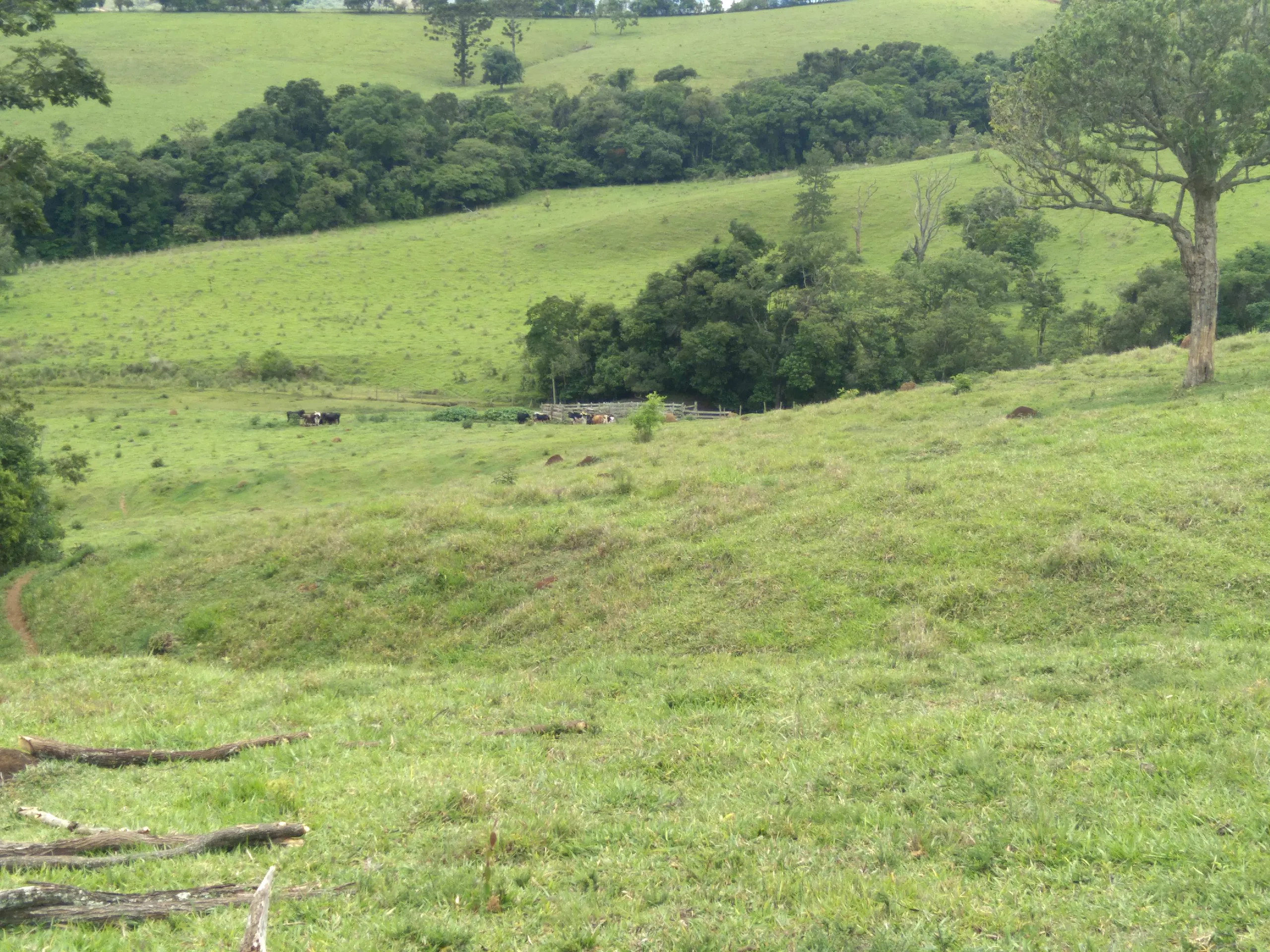 Terreno à venda de 20 ha em Aiuruoca, MG, Brasil