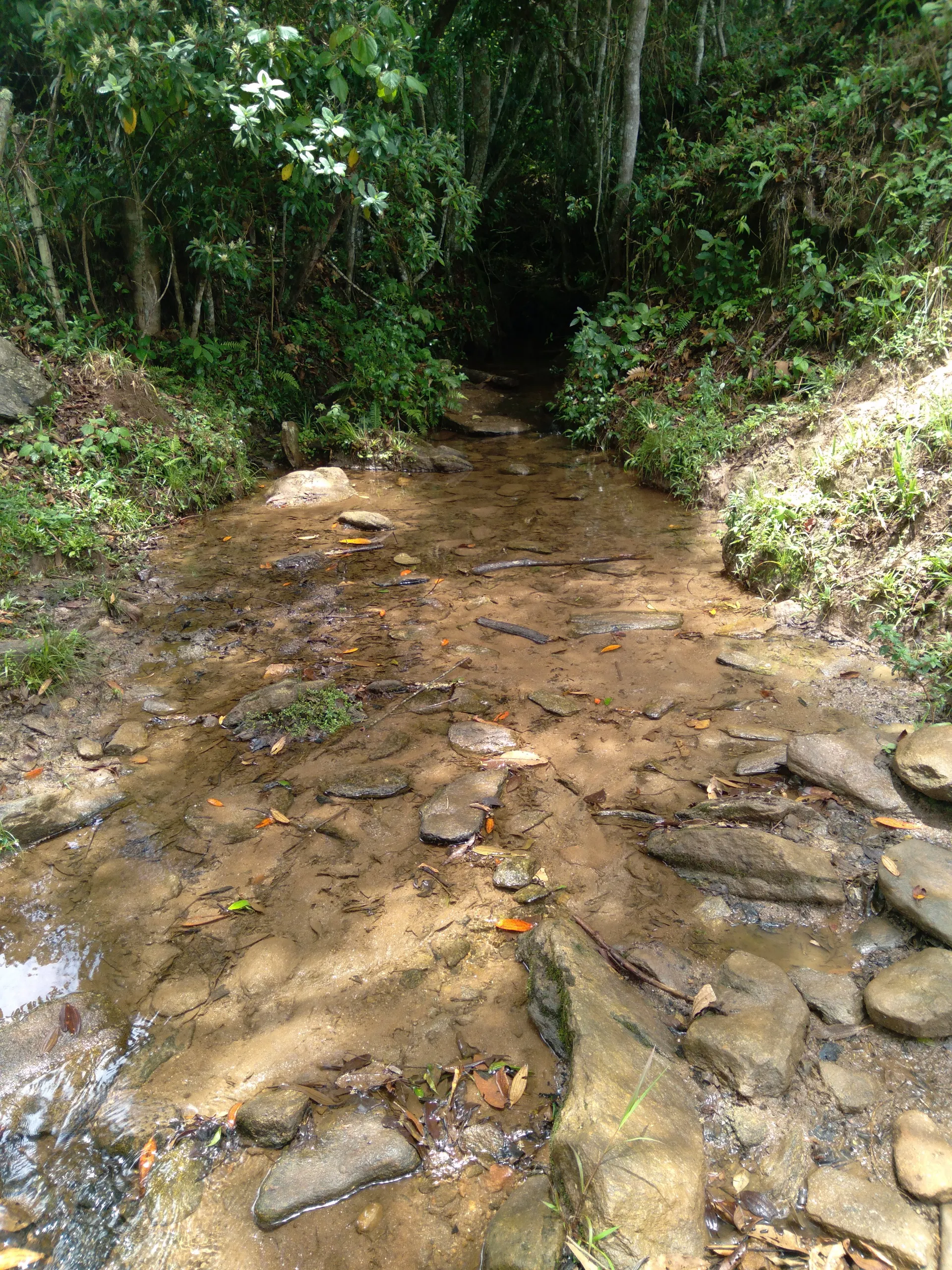 Terreno à venda de 20 ha em Aiuruoca, MG, Brasil