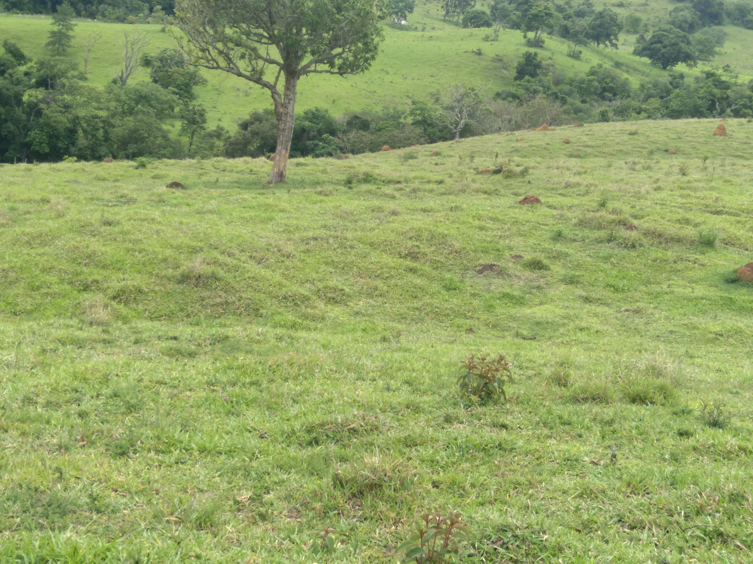 Terreno à venda de 20 ha em Aiuruoca, MG, Brasil