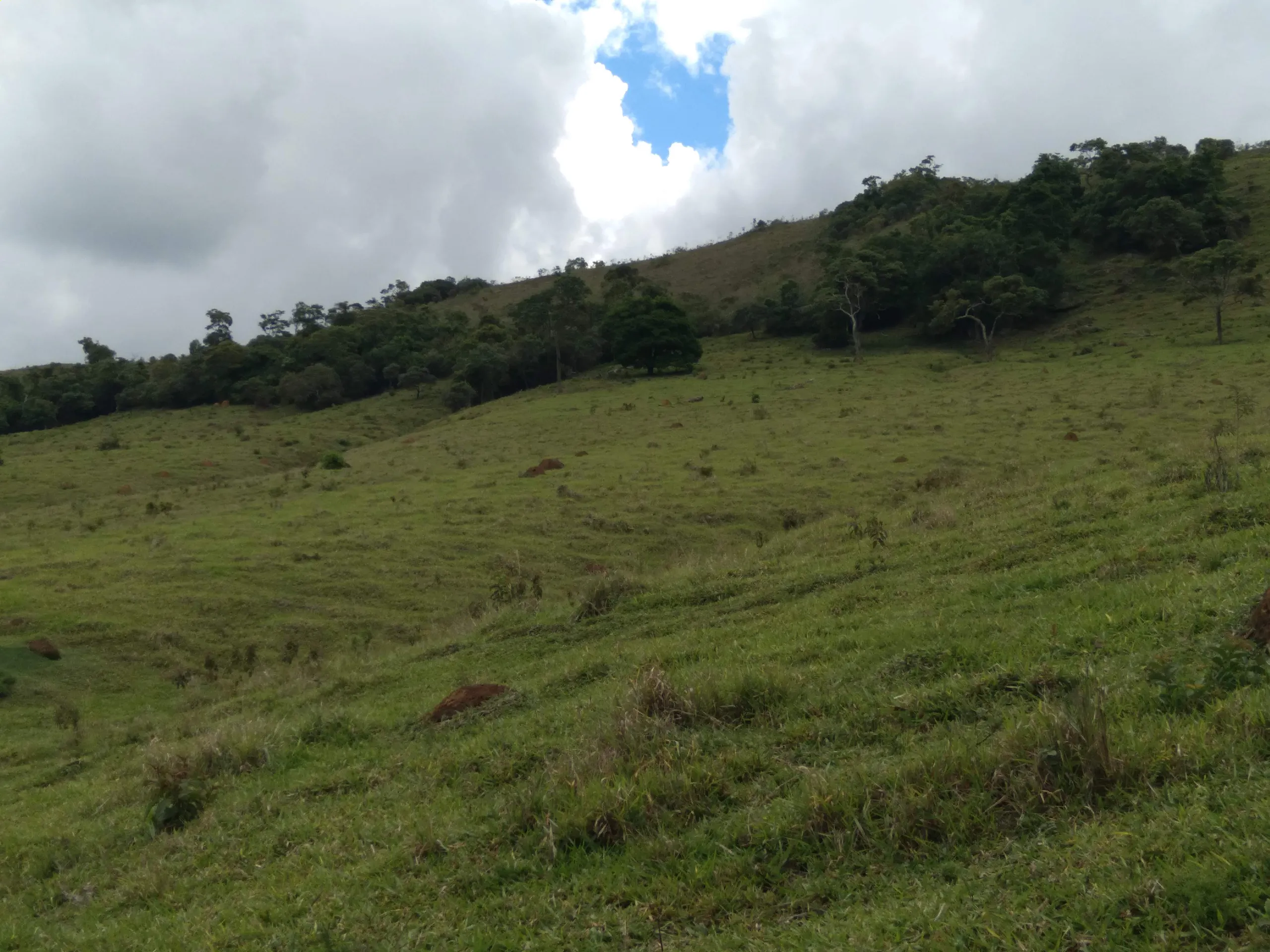 Terreno à venda de 20 ha em Aiuruoca, MG, Brasil