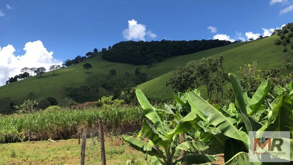 Chácara à venda de 4.000 m² em Camanducaia, MG, Brasil