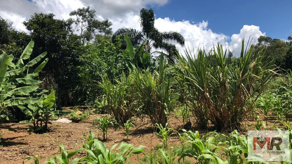 Chácara à venda de 4.000 m² em Camanducaia, MG, Brasil