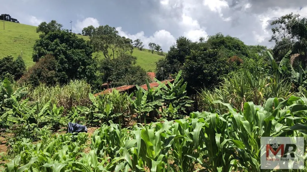 Chácara à venda de 4.000 m² em Camanducaia, MG, Brasil