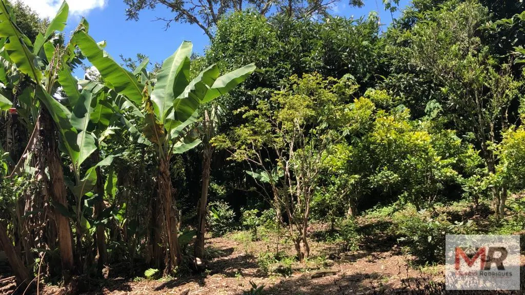 Chácara à venda de 4.000 m² em Camanducaia, MG, Brasil