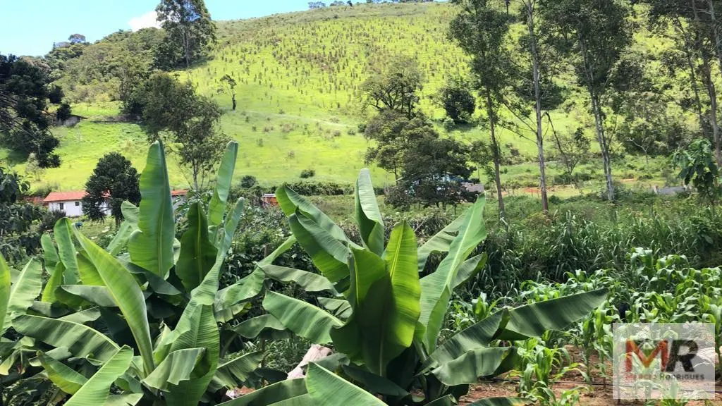 Chácara à venda de 4.000 m² em Camanducaia, MG, Brasil