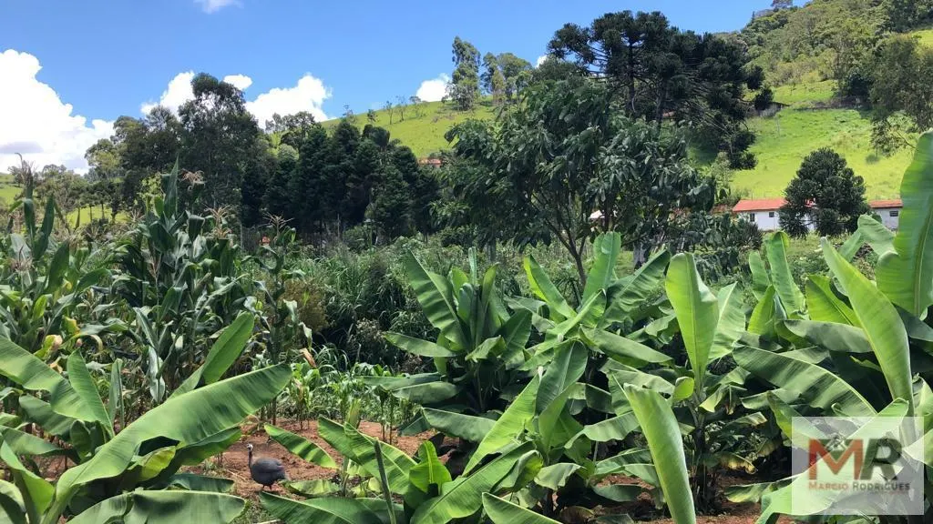 Chácara à venda de 4.000 m² em Camanducaia, MG, Brasil