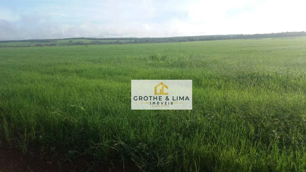 Fazenda à venda de 2.420 ha em Lagoa da Confusão, TO, Brasil