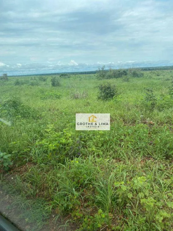 Fazenda à venda de 2.420 ha em Lagoa da Confusão, TO, Brasil