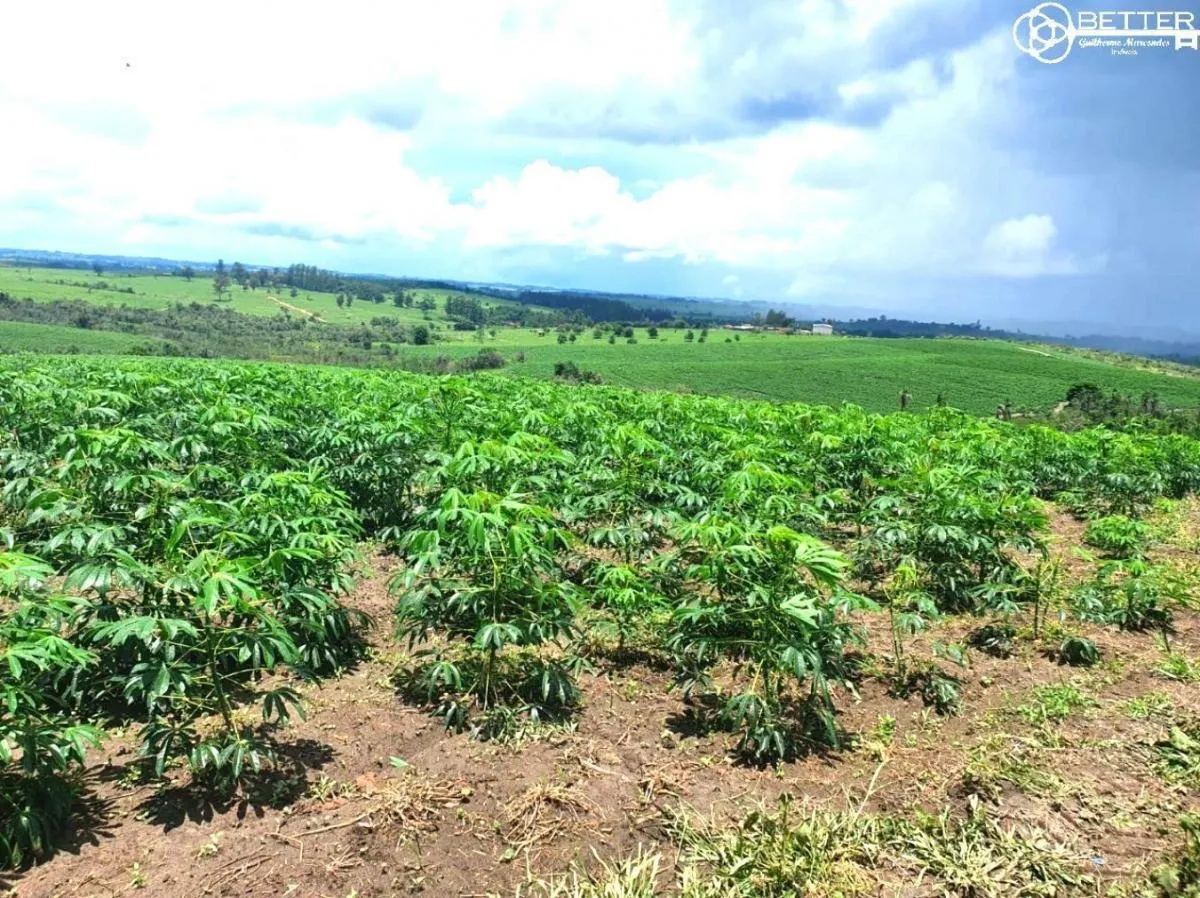 Fazenda à venda de 126 ha em Pardinho, SP, Brasil