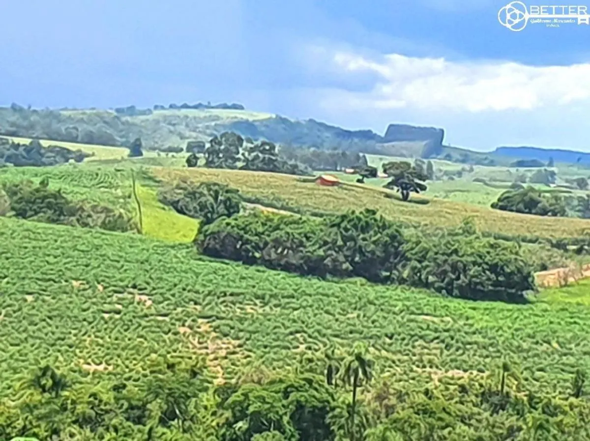 Fazenda à venda de 126 ha em Pardinho, SP, Brasil