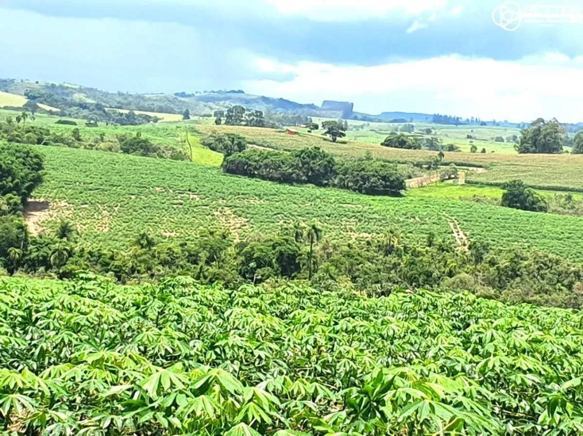 Fazenda à venda de 126 ha em Pardinho, SP, Brasil