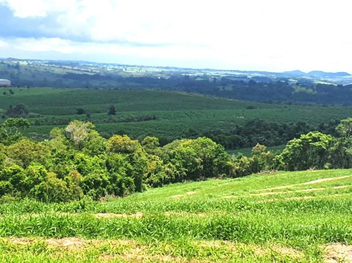 Fazenda à venda de 126 ha em Pardinho, SP, Brasil