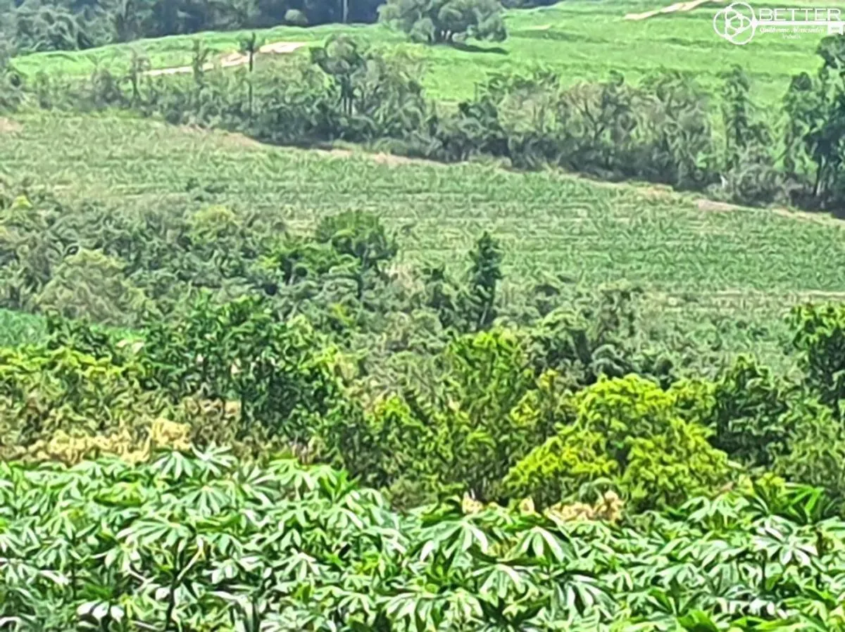 Fazenda à venda de 126 ha em Pardinho, SP, Brasil