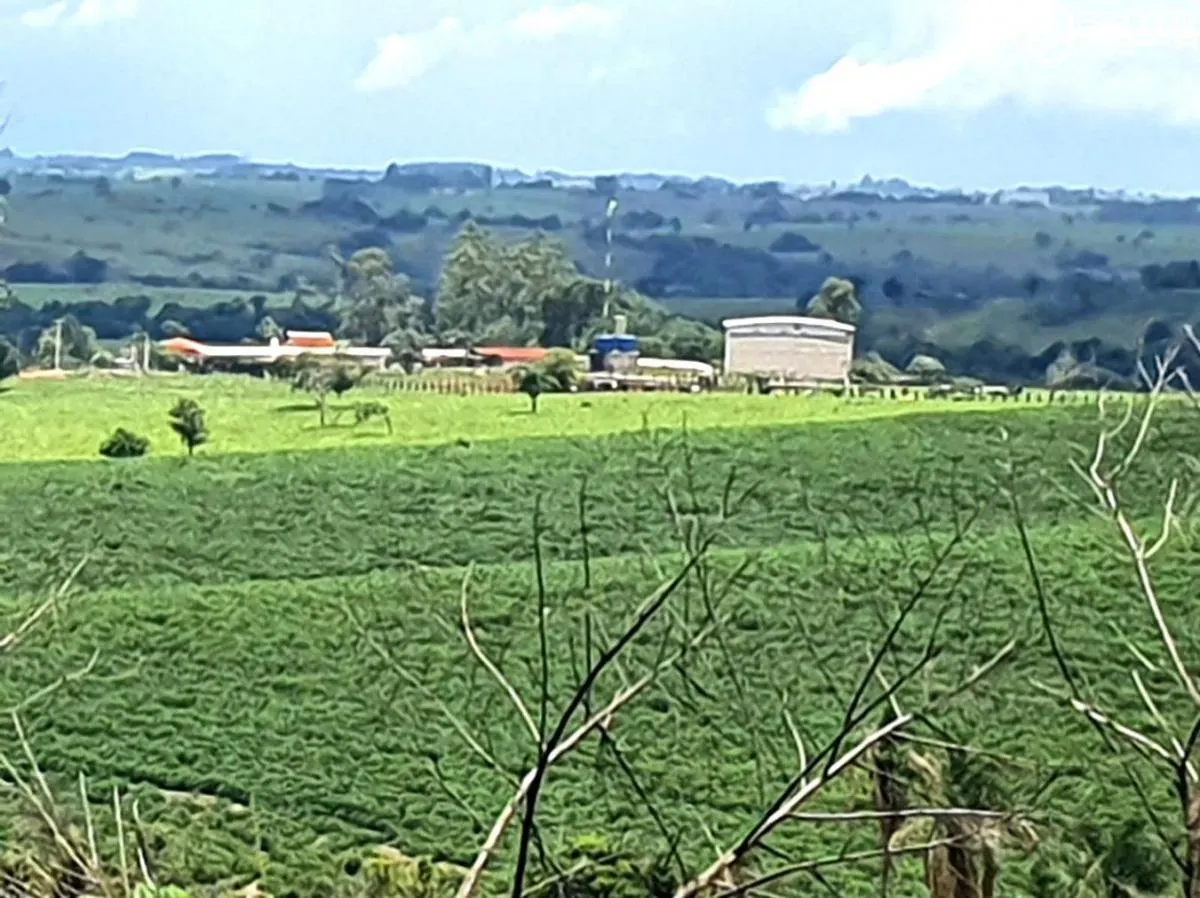 Fazenda à venda de 126 ha em Pardinho, SP, Brasil