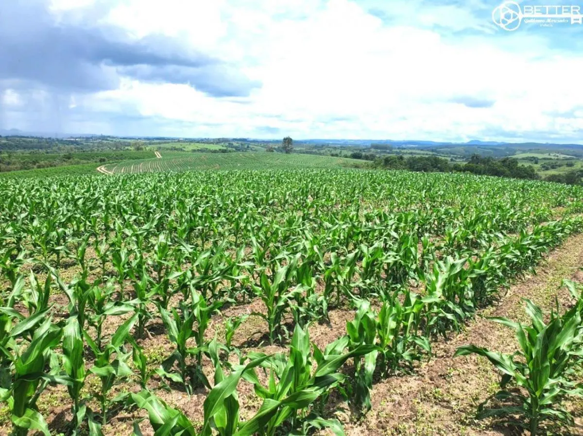 Fazenda à venda de 126 ha em Pardinho, SP, Brasil