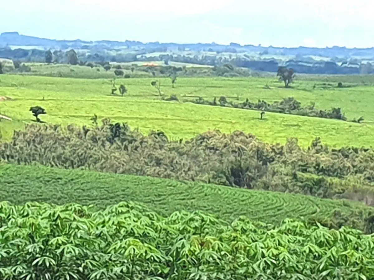 Fazenda à venda de 126 ha em Pardinho, SP, Brasil