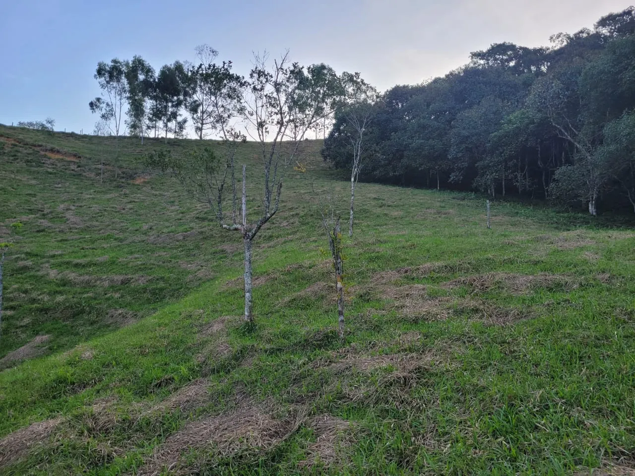 Terreno à venda de 3 ha em São José dos Campos, SP, Brasil