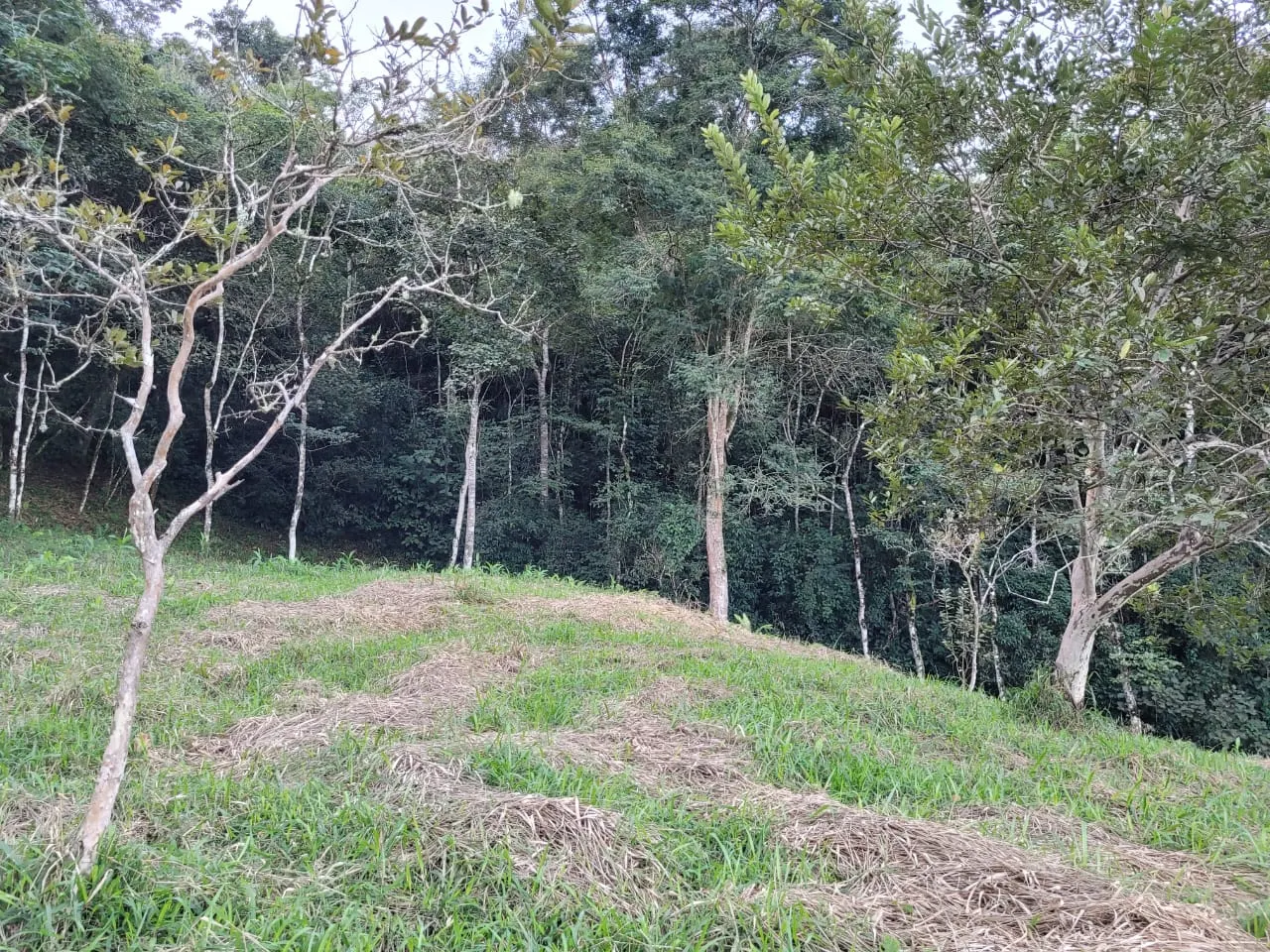 Terreno à venda de 3 ha em São José dos Campos, SP, Brasil
