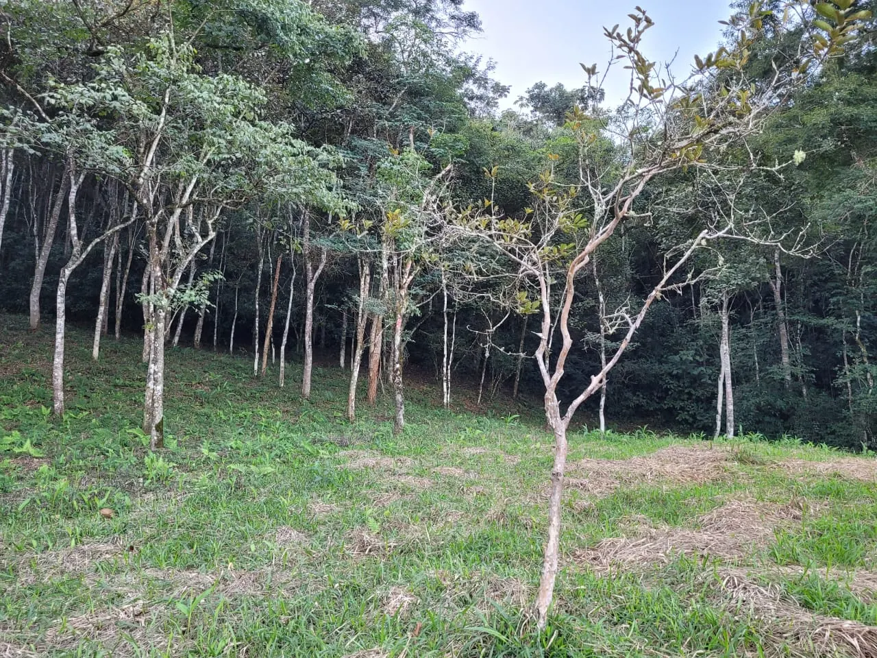 Terreno à venda de 3 ha em São José dos Campos, SP, Brasil