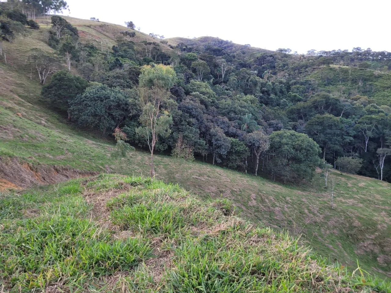Terreno à venda de 3 ha em São José dos Campos, SP, Brasil