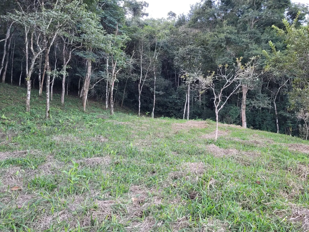 Terreno à venda de 3 ha em São José dos Campos, SP, Brasil