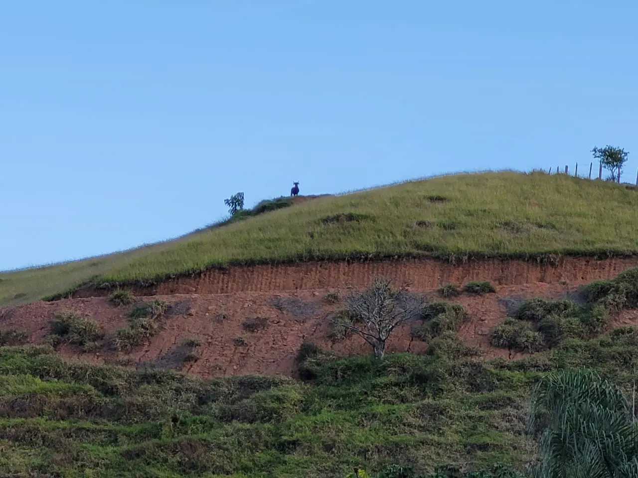 Terreno à venda de 3 ha em São José dos Campos, SP, Brasil