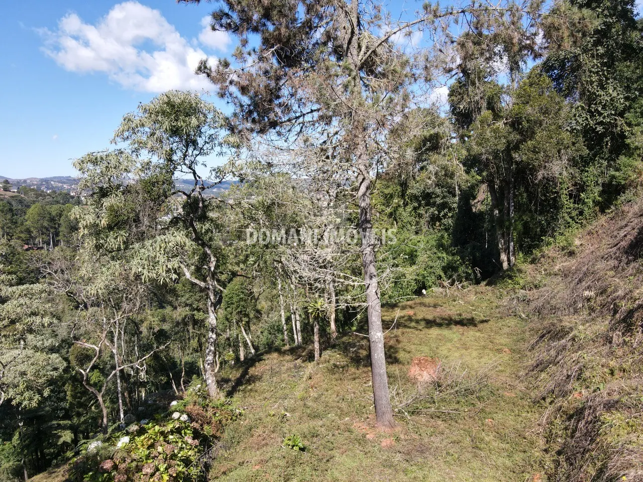 Terreno à venda de 2.060 m² em Campos do Jordão, SP, Brasil