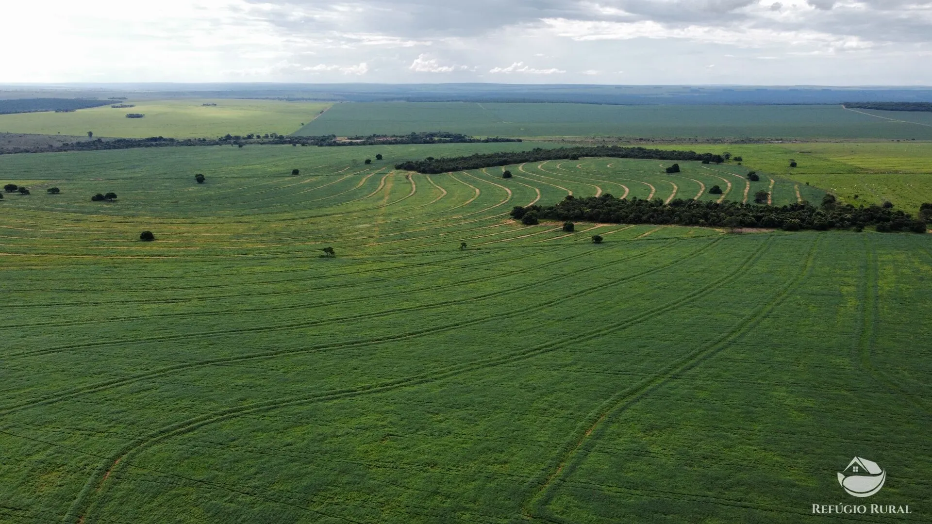 Fazenda à venda e para Arrendar de 1.000 ha em Paraíso das Águas, MS, Brasil