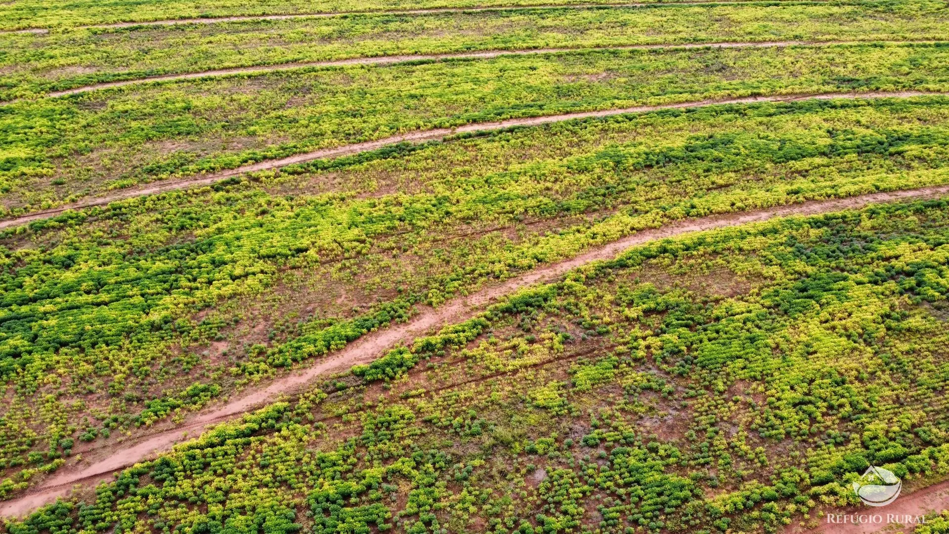 Fazenda à venda e para Arrendar de 1.000 ha em Paraíso das Águas, MS, Brasil