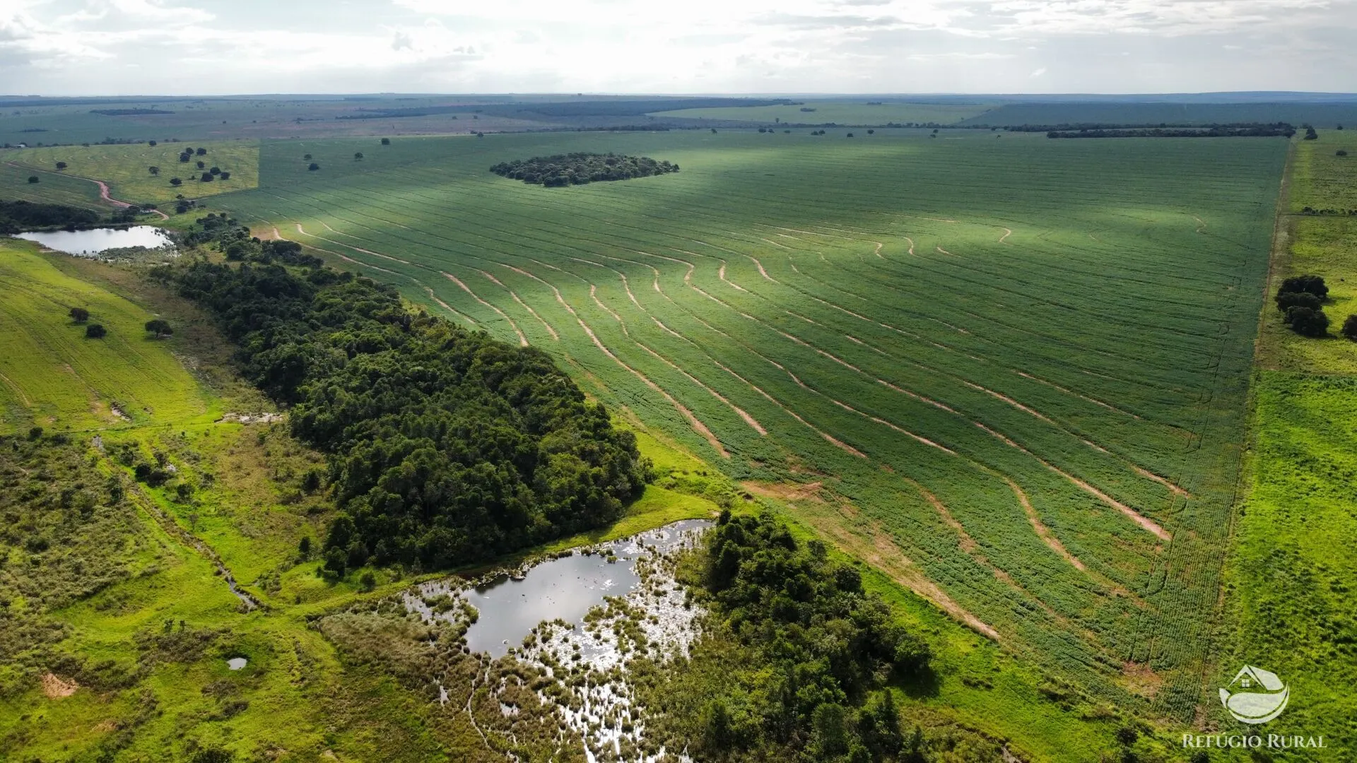 Fazenda à venda e para Arrendar de 1.000 ha em Paraíso das Águas, MS, Brasil