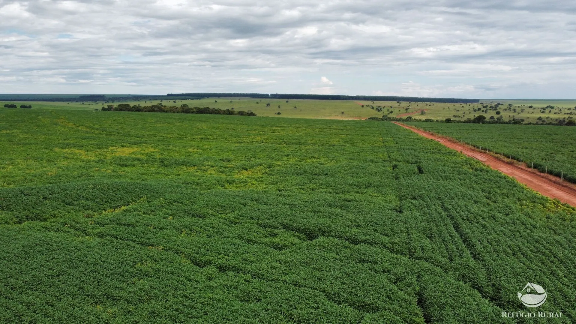 Fazenda à venda e para Arrendar de 1.000 ha em Paraíso das Águas, MS, Brasil