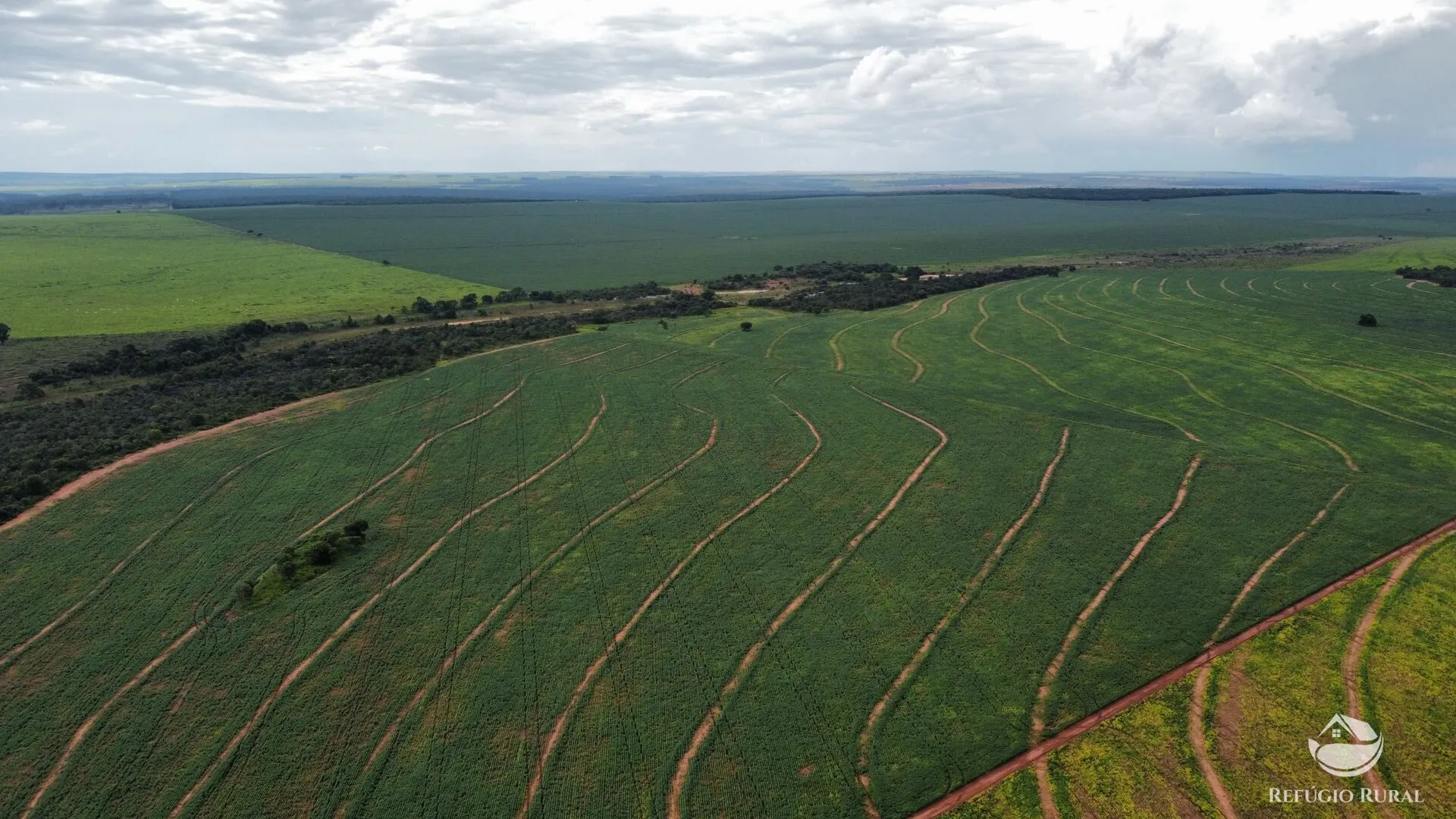 Fazenda à venda e para Arrendar de 1.000 ha em Paraíso das Águas, MS, Brasil