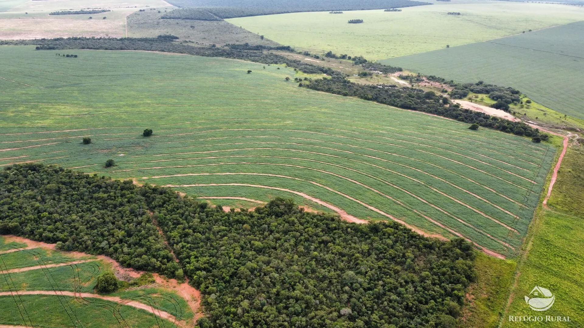Fazenda à venda e para Arrendar de 1.000 ha em Paraíso das Águas, MS, Brasil