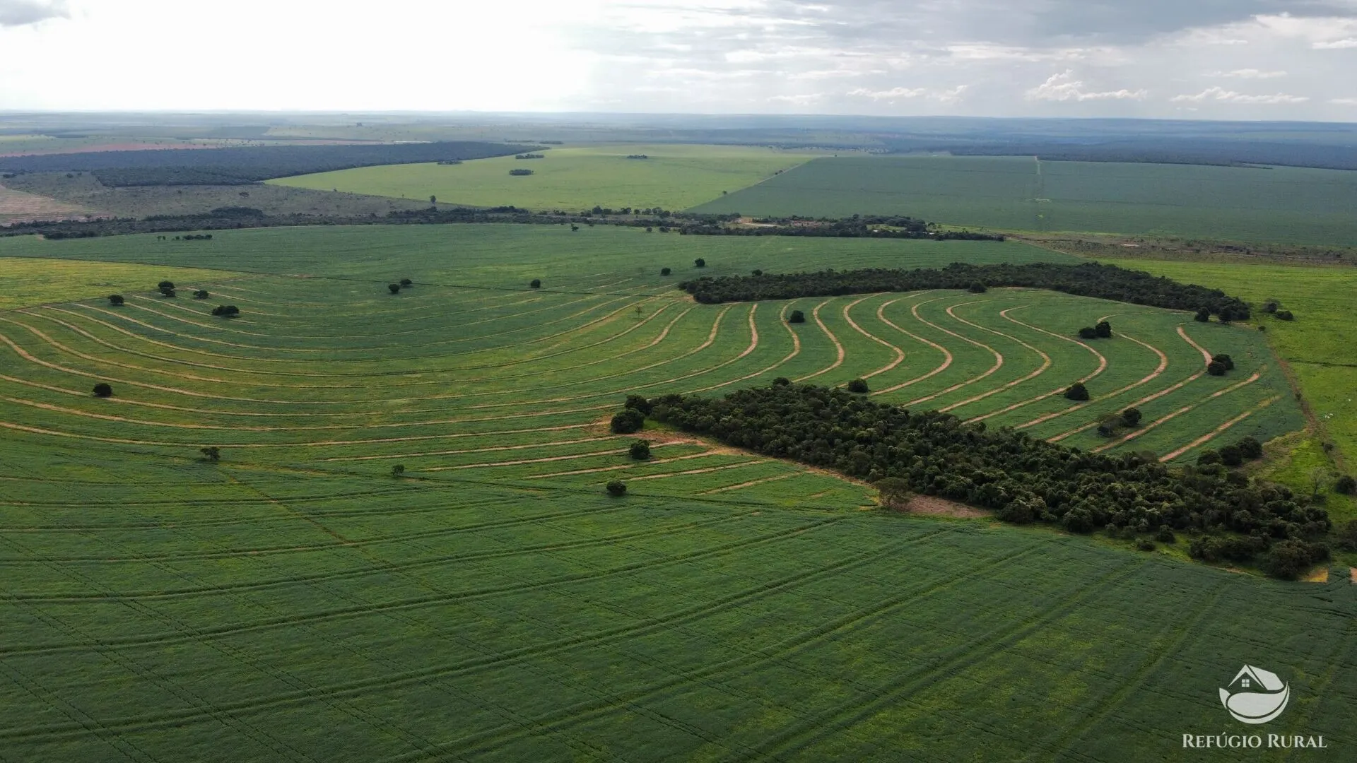 Fazenda à venda e para Arrendar de 1.000 ha em Paraíso das Águas, MS, Brasil
