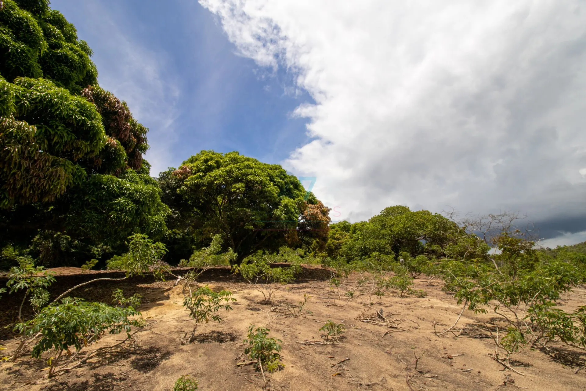 Sítio à venda de 7 ha em Guarapari, ES, Brasil