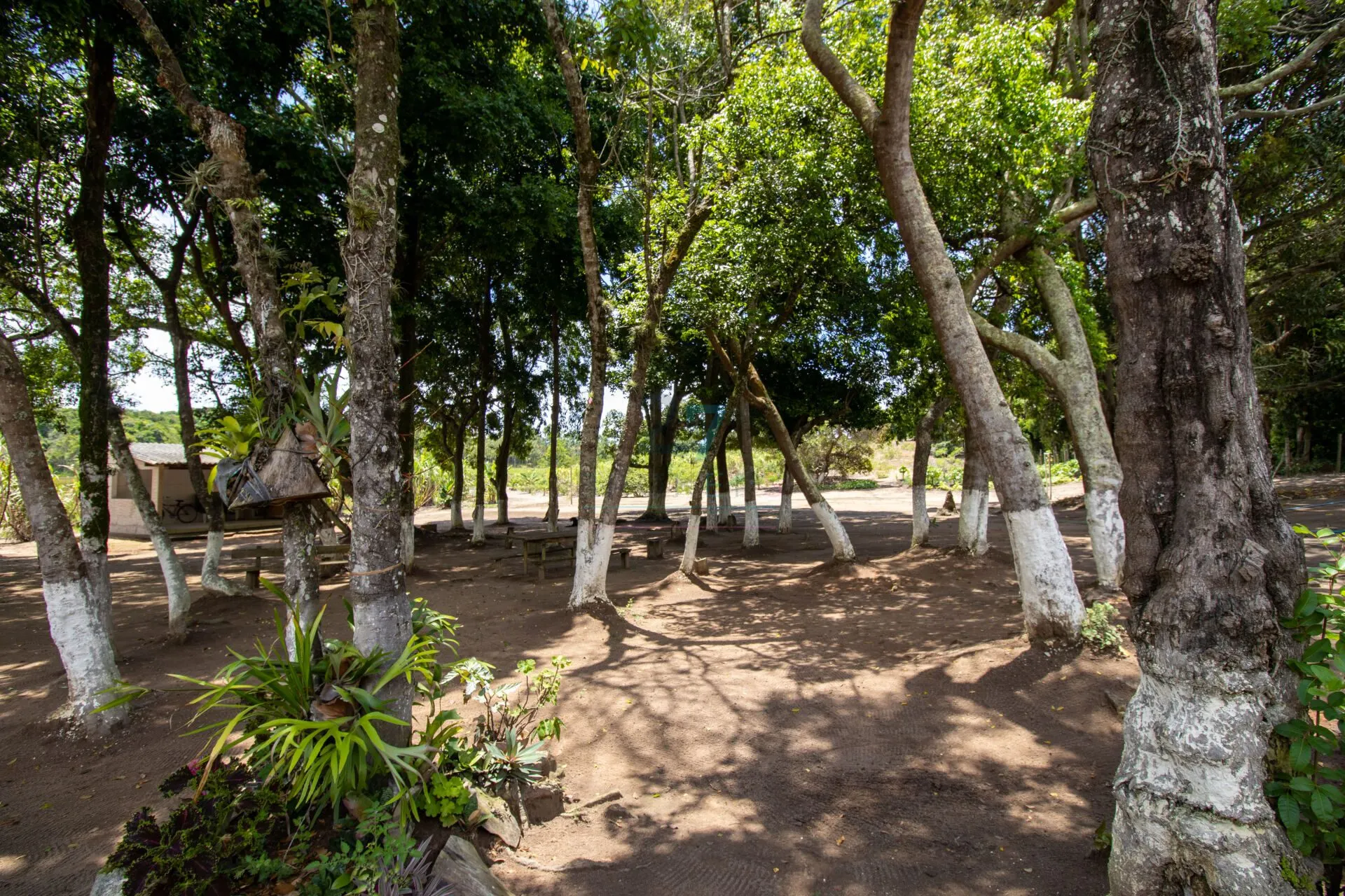 Sítio à venda de 7 ha em Guarapari, ES, Brasil