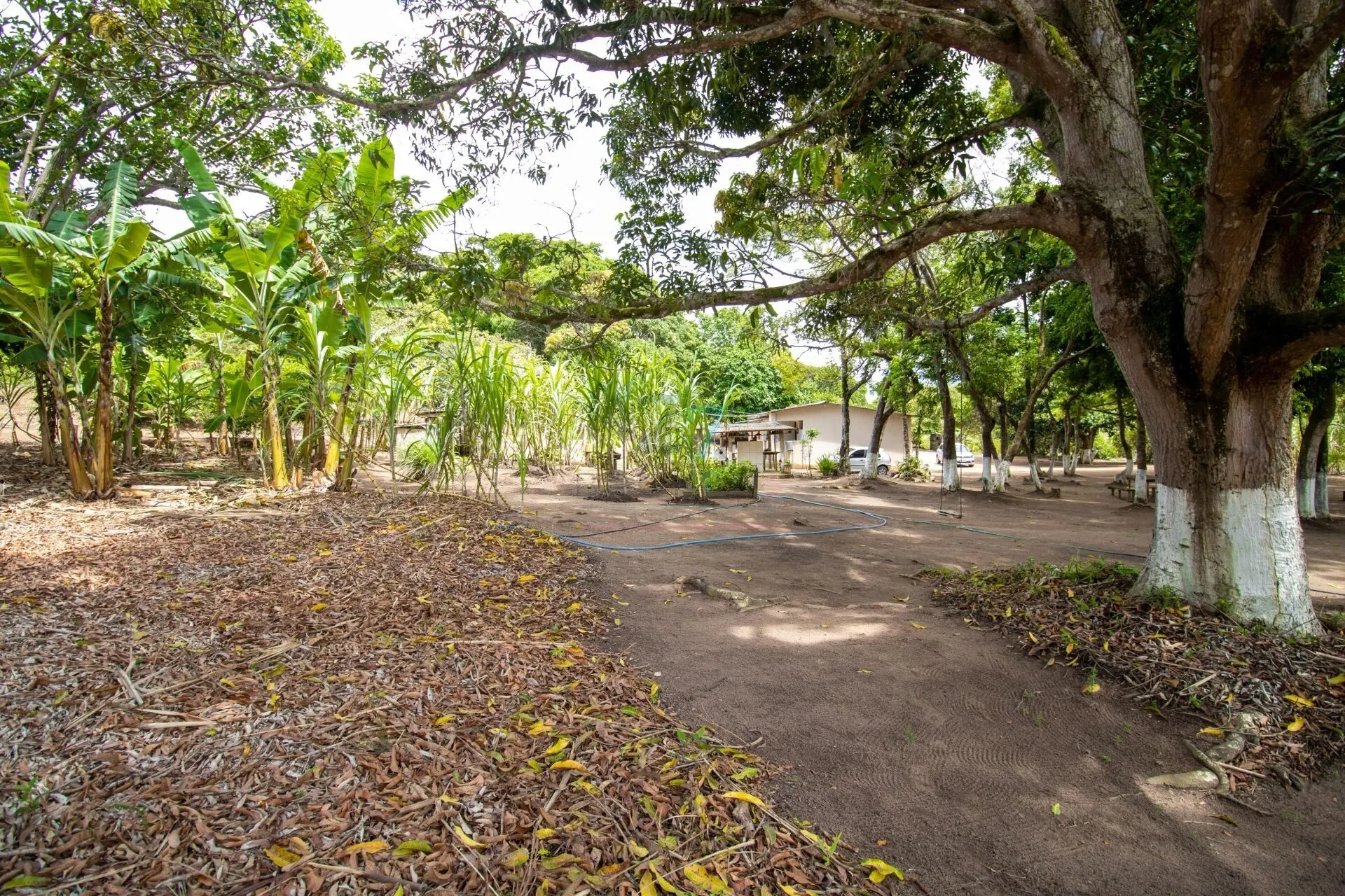 Sítio à venda de 7 ha em Guarapari, ES, Brasil