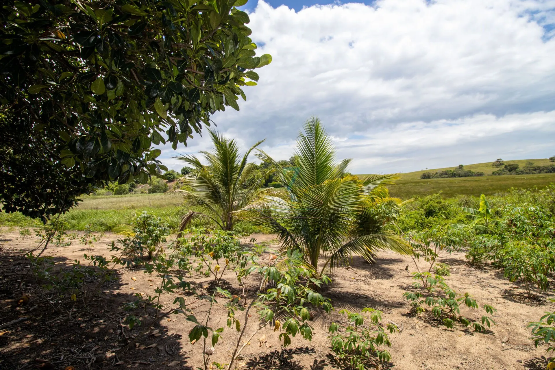 Sítio à venda de 7 ha em Guarapari, ES, Brasil