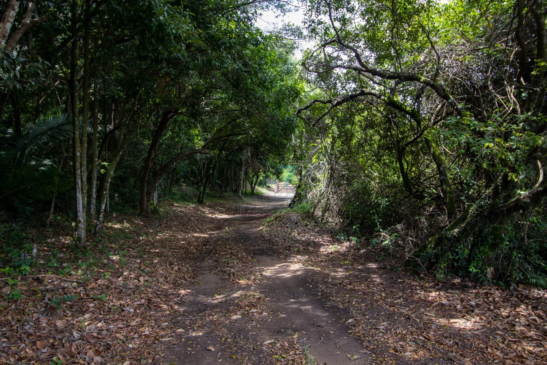 Sítio à venda de 7 ha em Guarapari, ES, Brasil