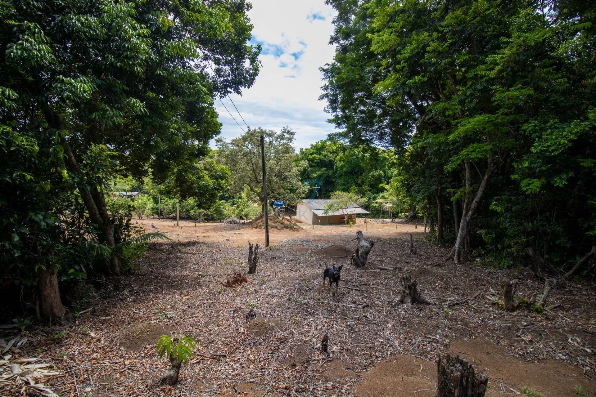 Sítio à venda de 7 ha em Guarapari, ES, Brasil