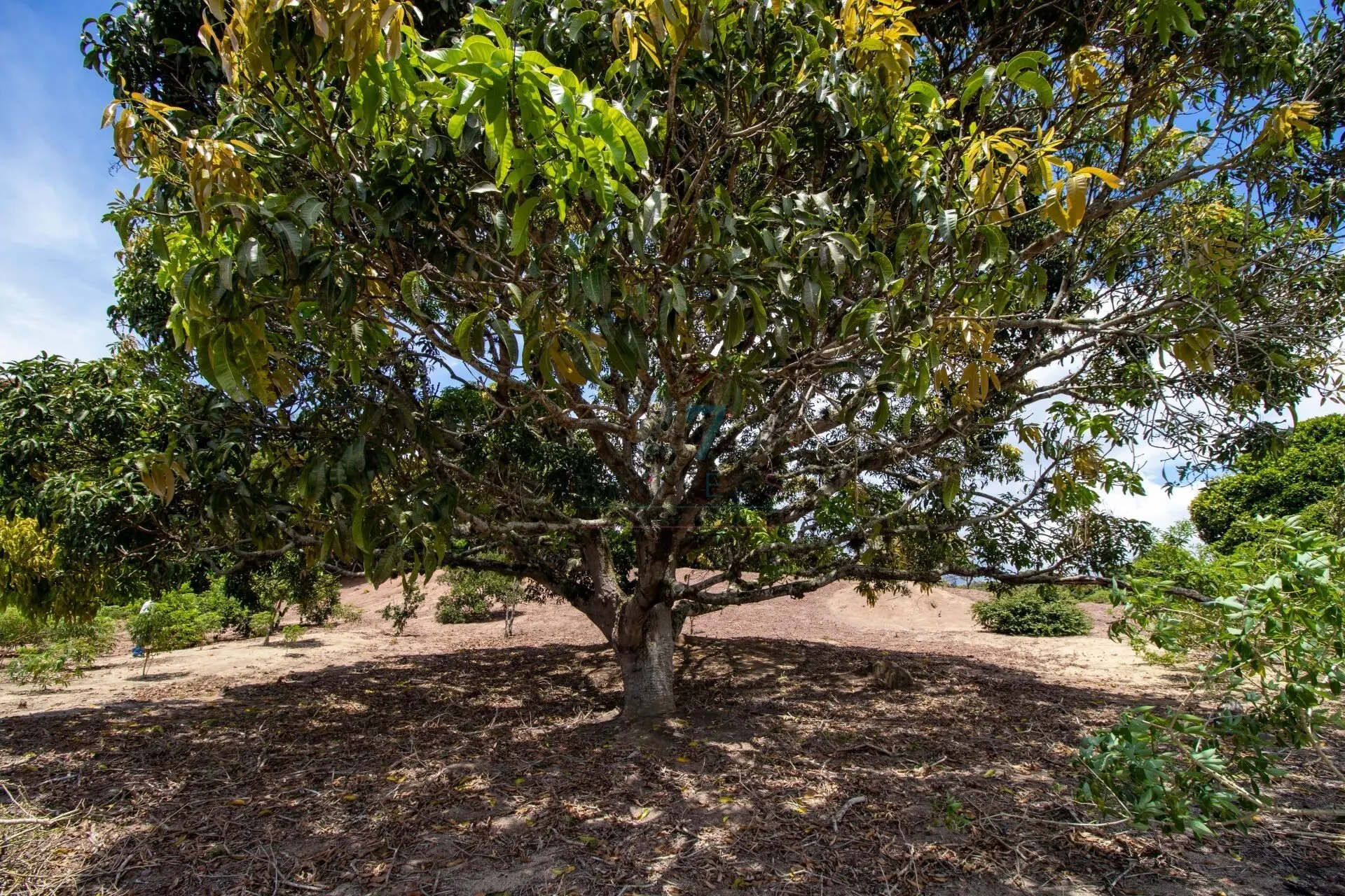 Sítio à venda de 7 ha em Guarapari, ES, Brasil