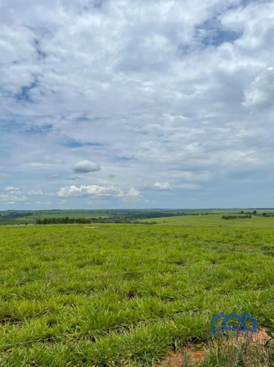 Fazenda à venda de 987 ha em Penápolis, SP, Brasil