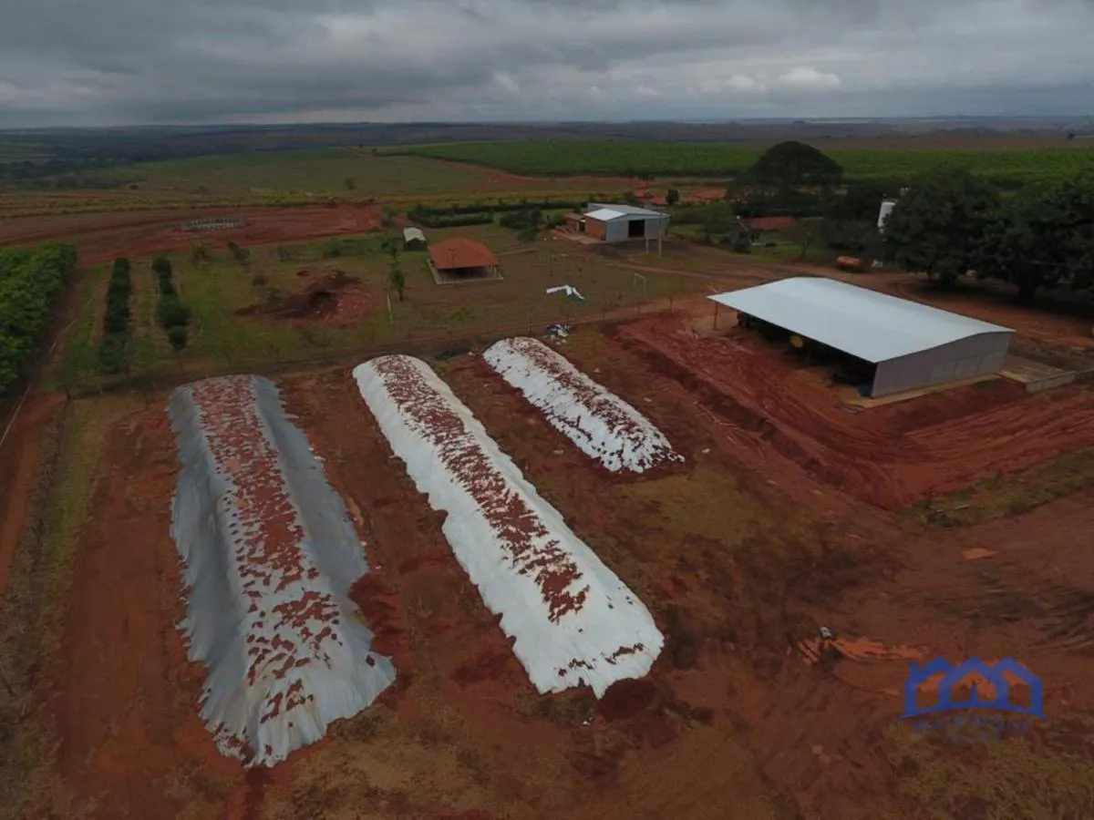 Fazenda à venda de 987 ha em Penápolis, SP, Brasil