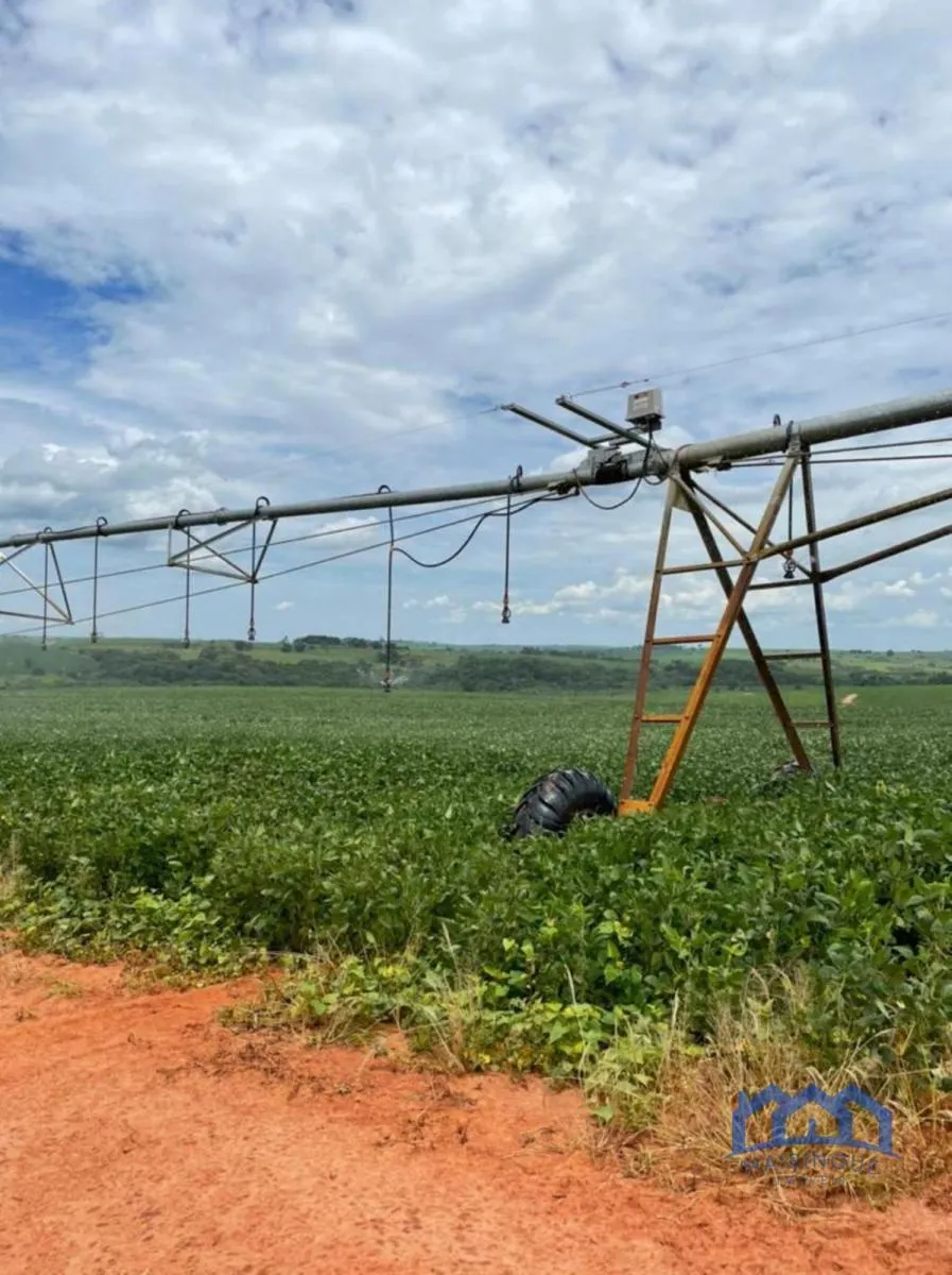 Fazenda à venda de 987 ha em Penápolis, SP, Brasil