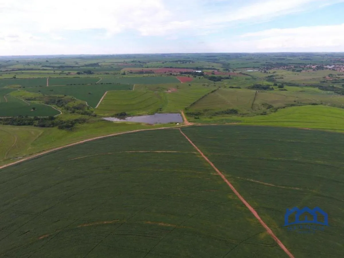 Fazenda à venda de 987 ha em Penápolis, SP, Brasil
