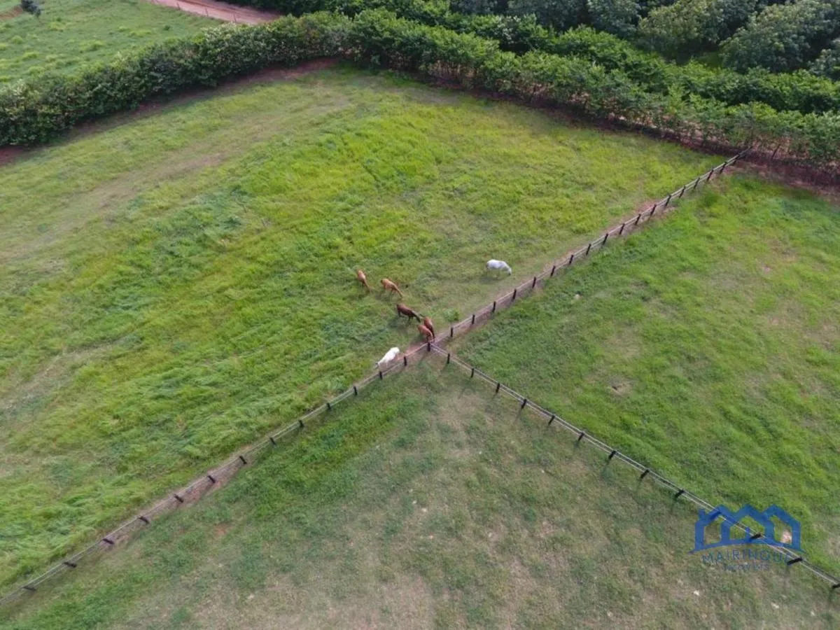 Fazenda à venda de 987 ha em Penápolis, SP, Brasil