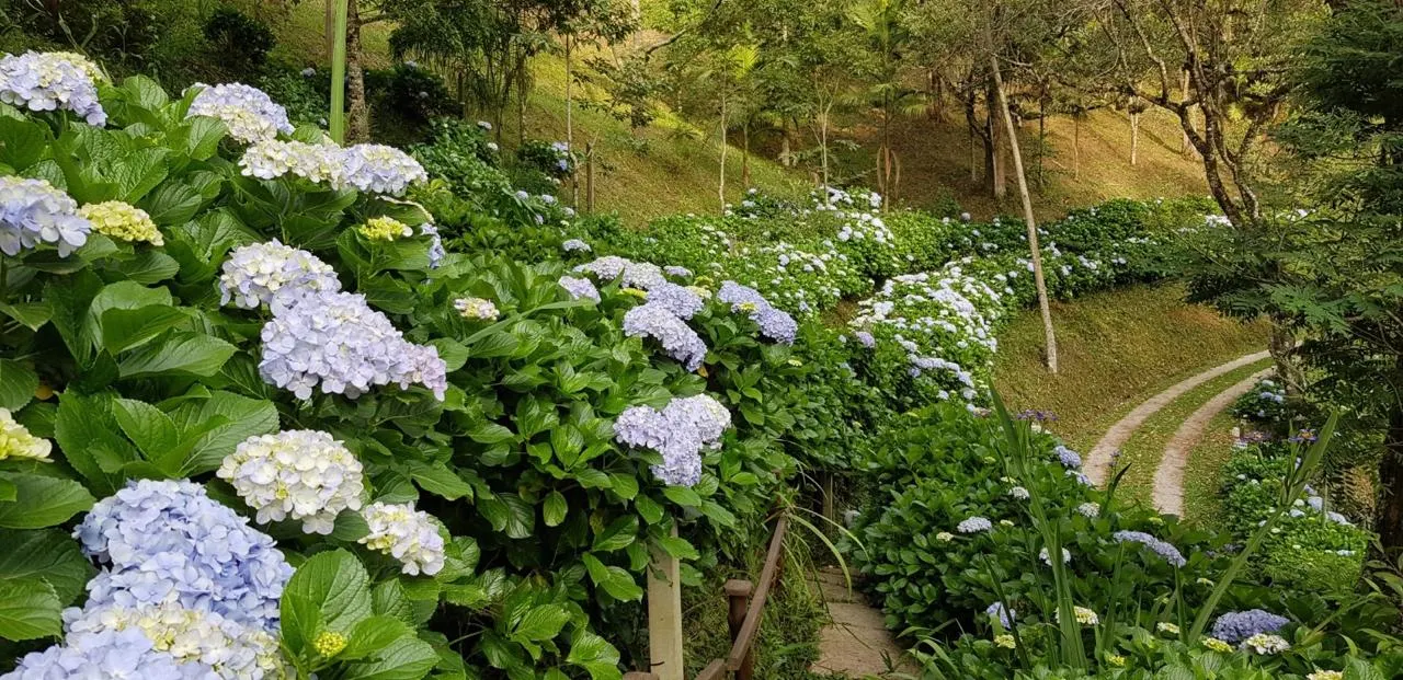 Pousada à venda de 10 ha em Santo Antônio do Pinhal, SP, Brasil