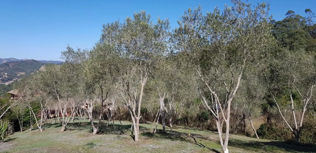 Pousada à venda de 10 ha em Santo Antônio do Pinhal, SP, Brasil