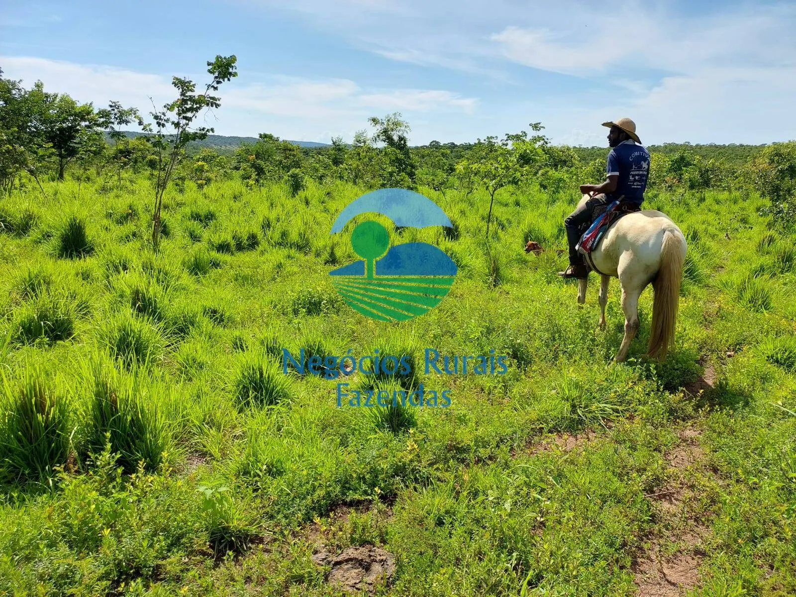 Fazenda à venda de 638 ha em Paranã, TO, Brasil